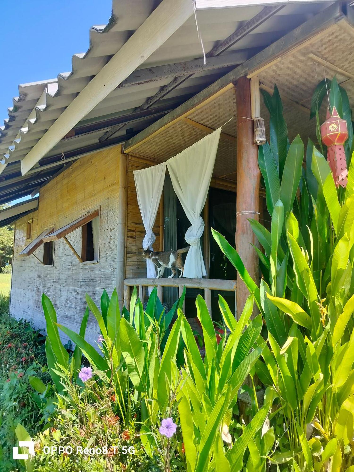 Tulip Resort Pai Exteriér fotografie