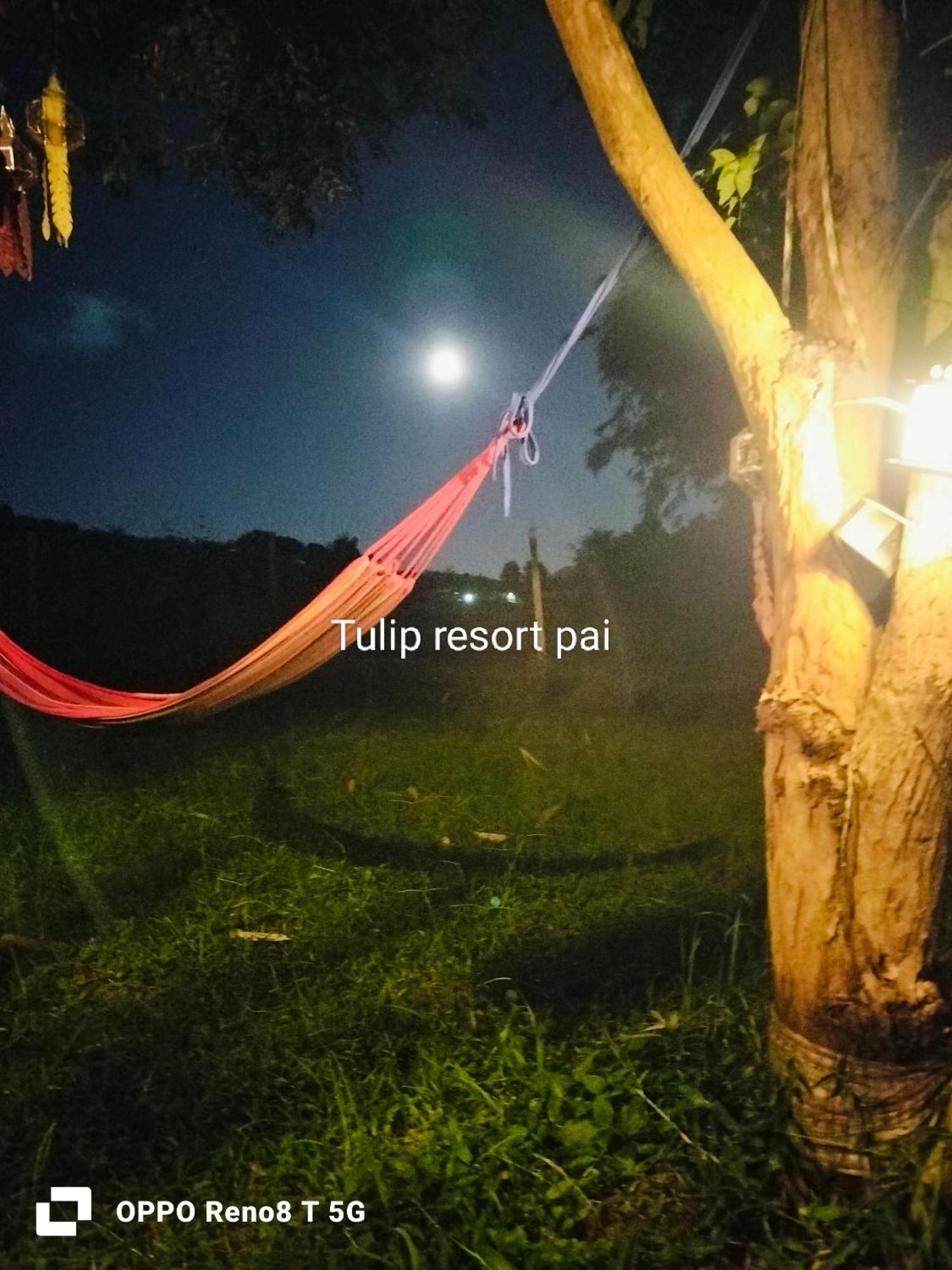 Tulip Resort Pai Pokoj fotografie